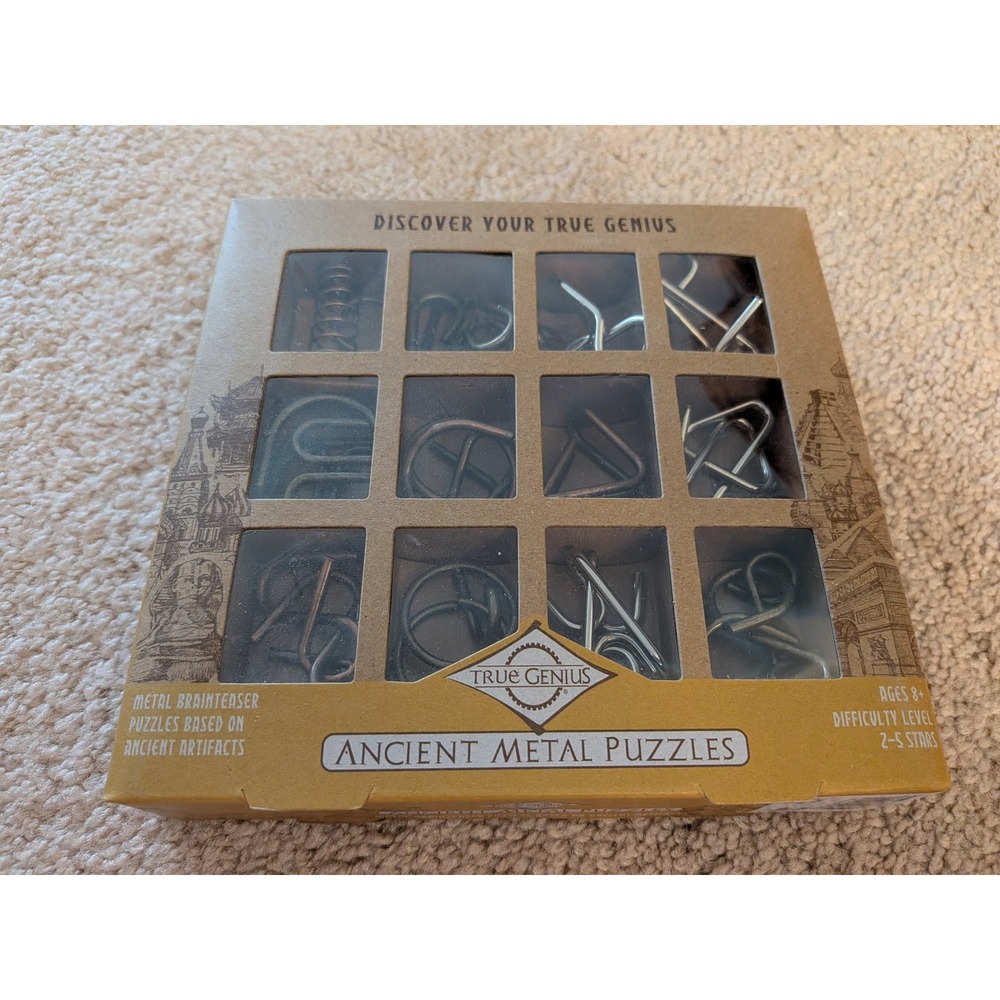 Project Genius True Genius Ancient Metal Puzzles Set Brainteaser Toy